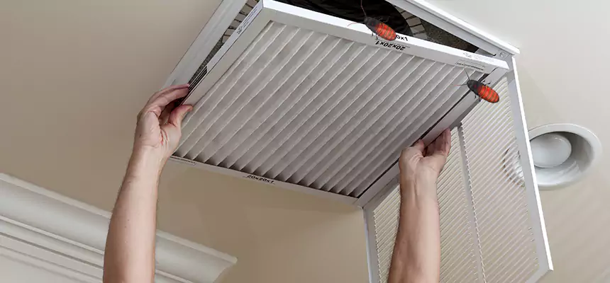 Preventive Cockroach-Proofing for Ducts in Madison