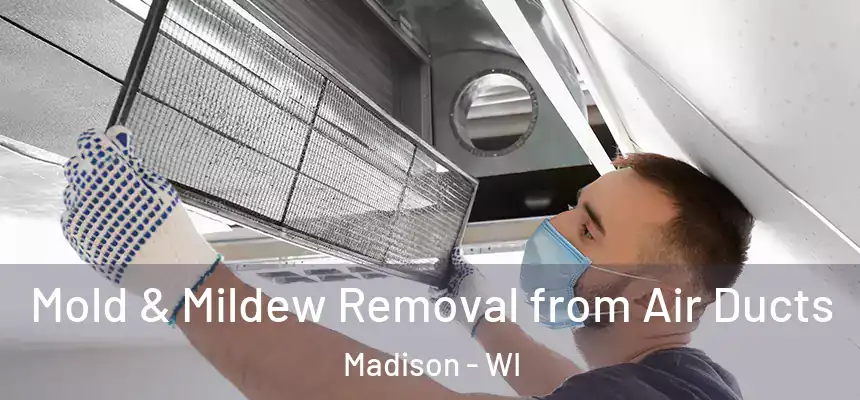  Mold & Mildew Removal from Air Ducts Madison - WI