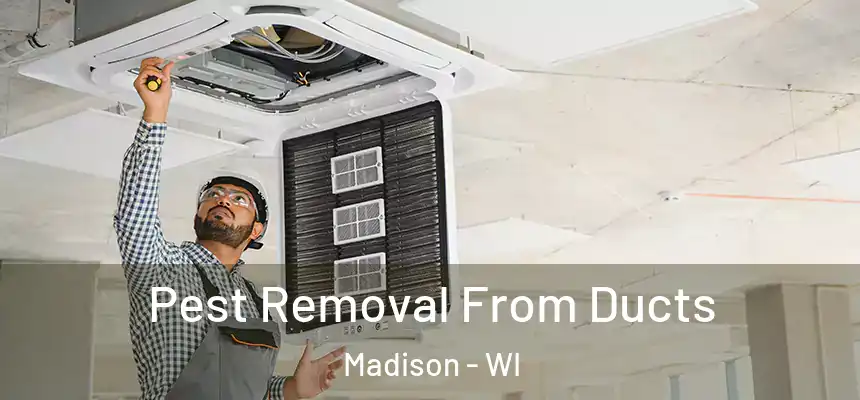  Pest Removal From Ducts Madison - WI