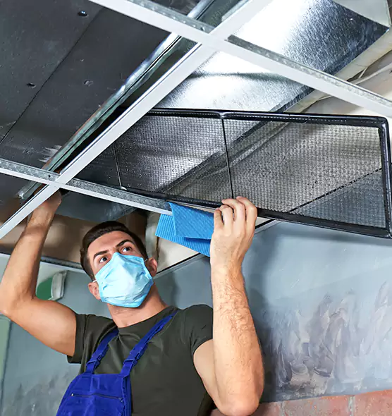 Professional Air Duct Pollen Cleaning in Madison, WI