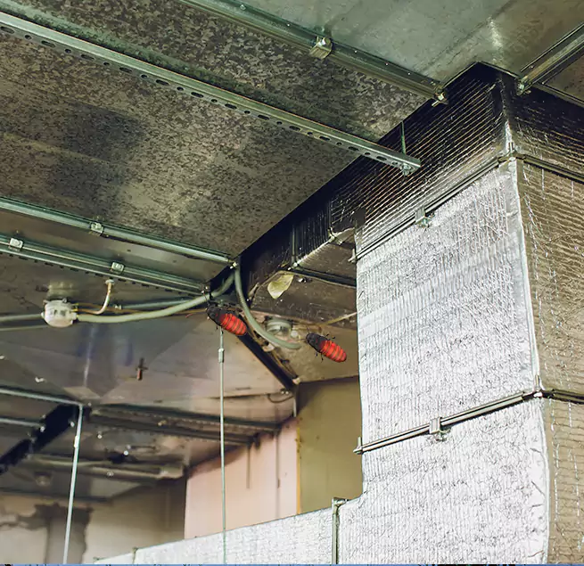 Why Homeowners & Businesses Trust Us in Madison, WI?