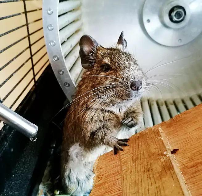 Why Homeowners & Businesses Trust Us Madison, WI