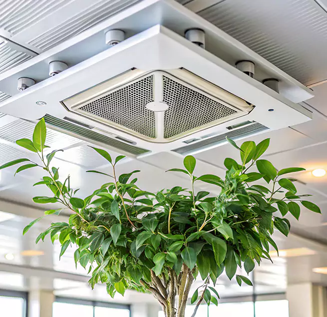 Why Homeowners & Businesses Trust Us in Madison, WI?