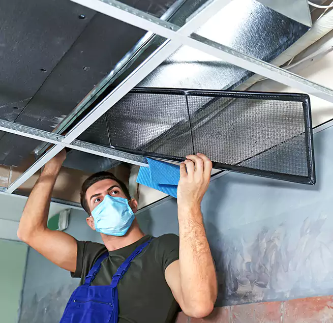 Why Homeowners Businesses Trust Us in Madison, WI